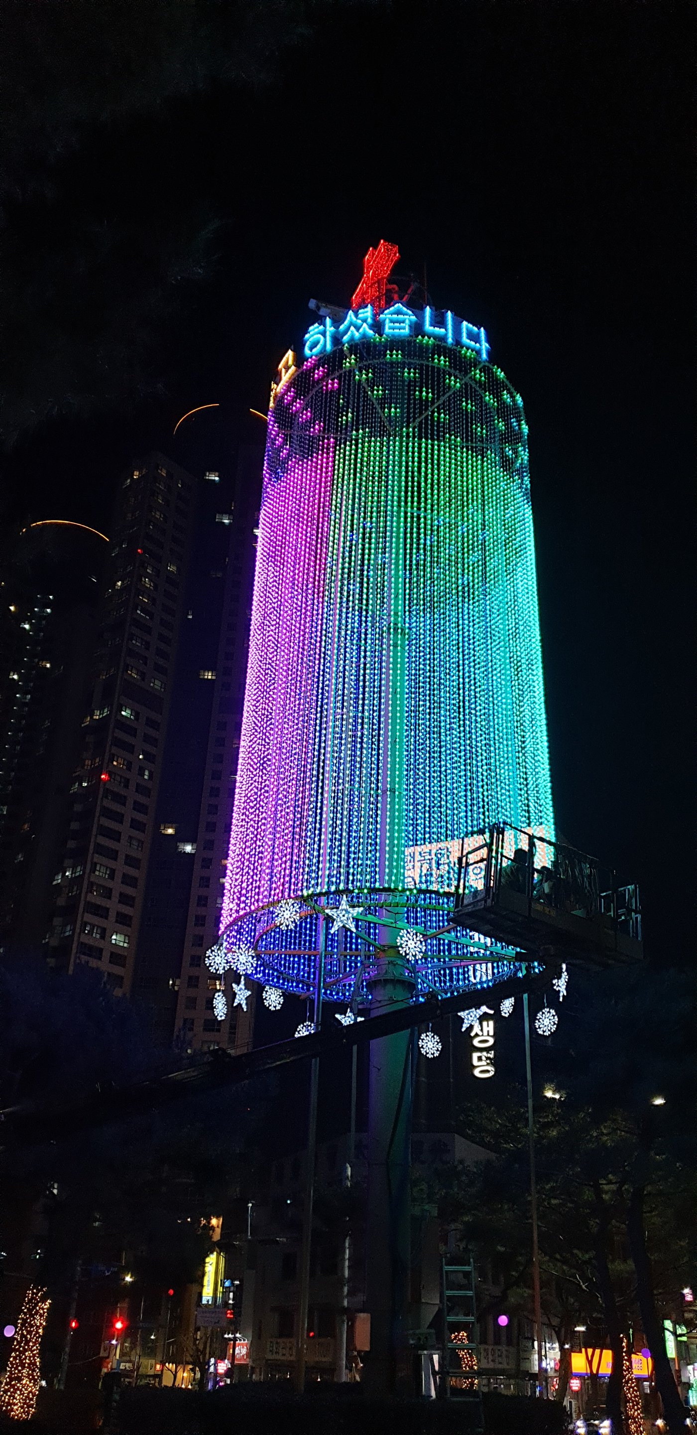태화로터리 LED 트리